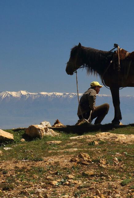 Berger et son cheval