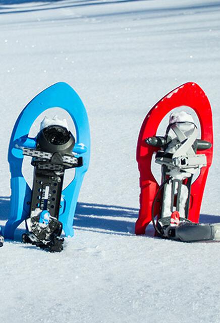 Raquettes à neige