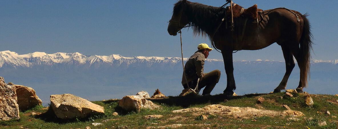 Berger et son cheval